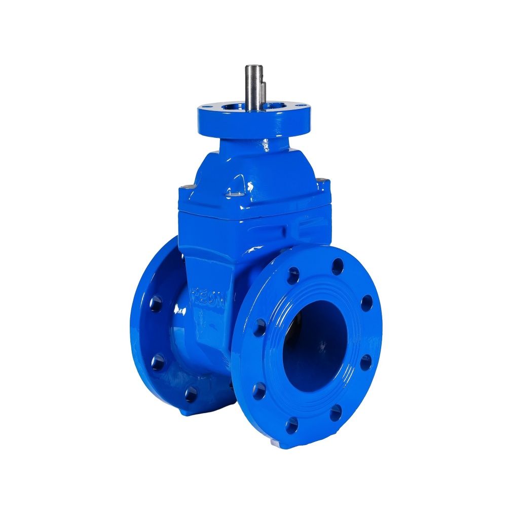 Задвижка чугунная с обрезиненным клином DN 50-300 REON  с голым штоком RSV02