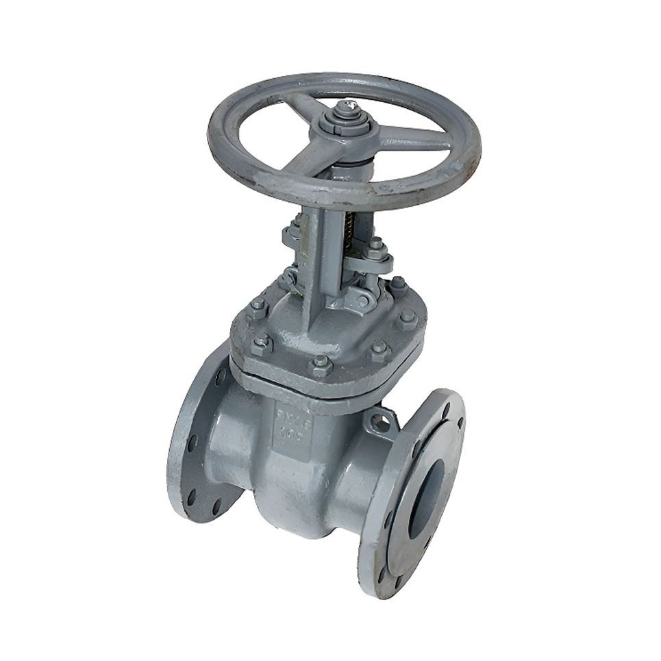 Задвижка 30с41нж Ду50 Ру16 импорт