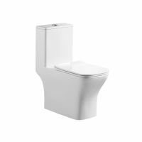 Унитаз-моноблок BelBagno NEON с сиденьем дюропласт soft close, P-trap, BB8617CPR-MN/SC